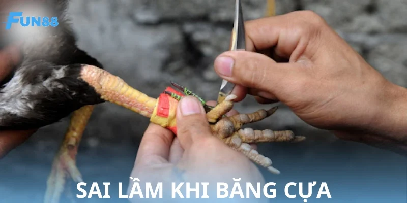 Những sai lầm cần tránh trong cách băng cựa gà