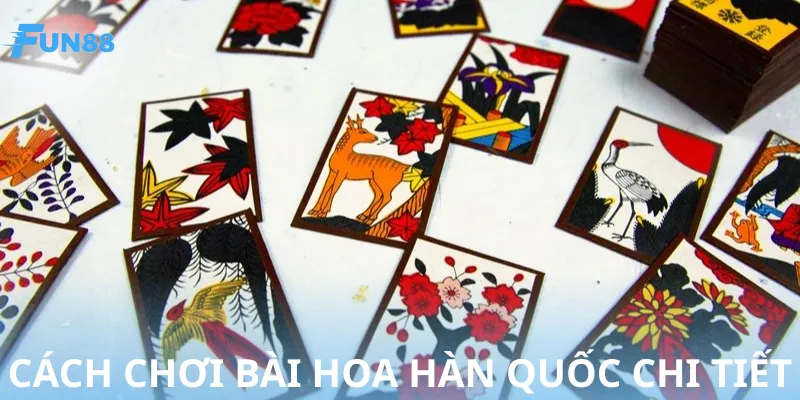 Chi tiết về cách chơi bài hoa Hàn Quốc đầy đủ nhất