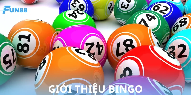 Bingo - Phiên bản quay số hot nhất 2025