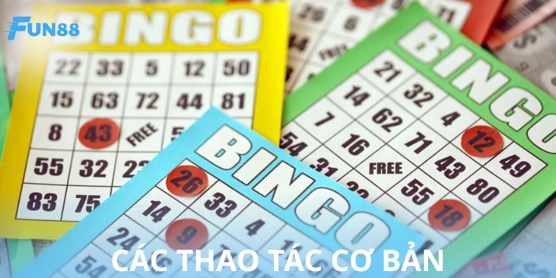 Hướng dẫn chơi bingo chuẩn trình tự quốc tế