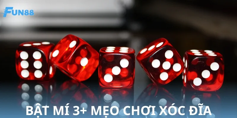 Bật mí mẹo chơi xóc đĩa cược hiệu quả, hốt bạc cực khủng